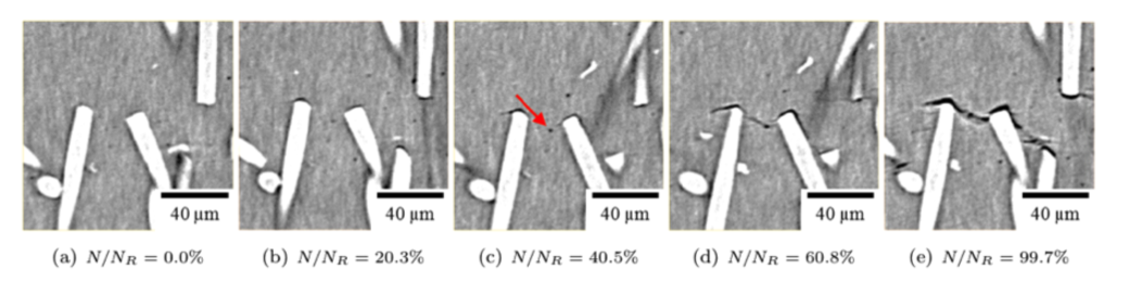 Fatigue crack initiation in short fiber reinforced composites as observed by micro-tomography